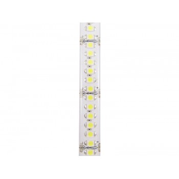 Светодиодная лента 3528/240 (IP65) premium
